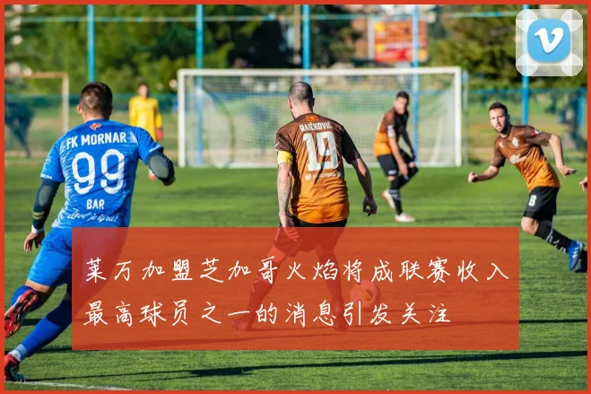 莱万加盟芝加哥火焰将成联赛收入最高球员之一的消息引发关注